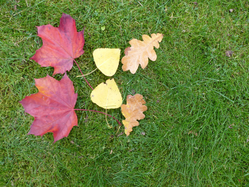 2x-times-tables-whiteboard-activity 3x2