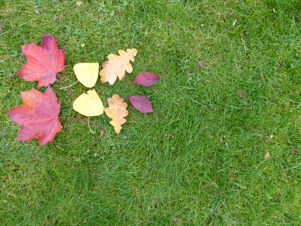 2x-times-tables-whiteboard-activity 4x2