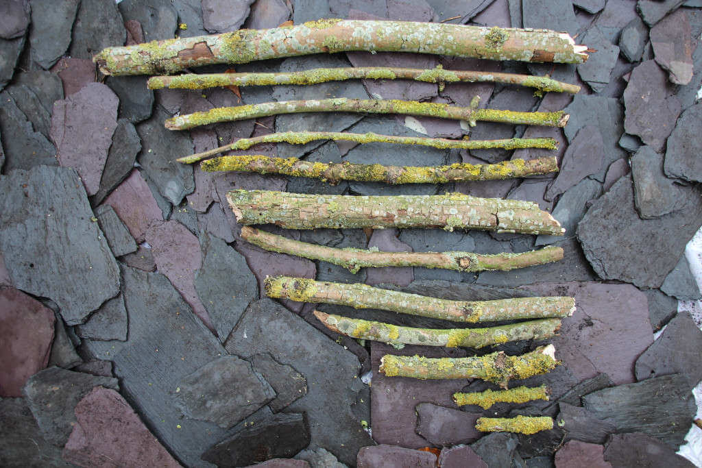 getting shorter set of sticks