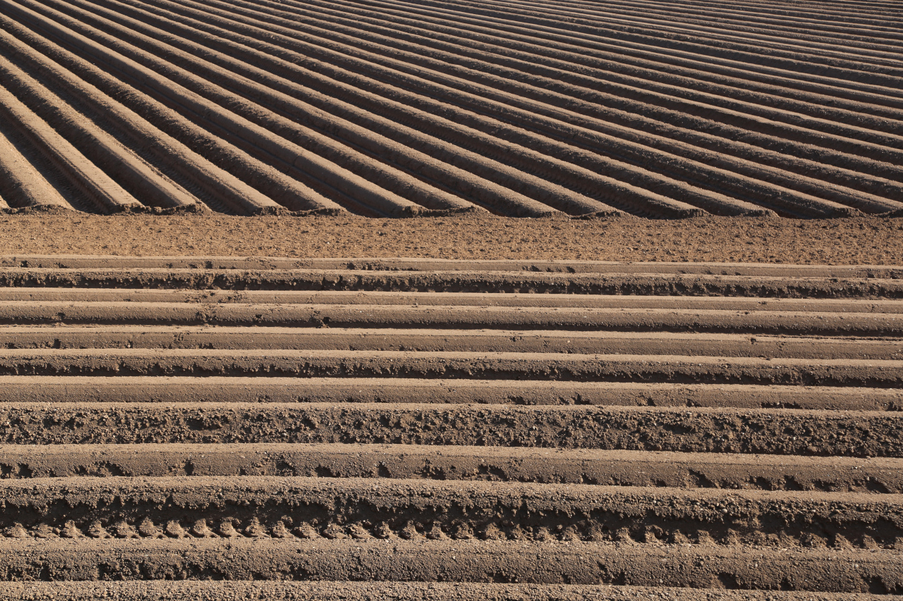 parallel lines in two directions in a ploughed field