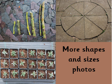 square pots, circular paving,short and long sticks 